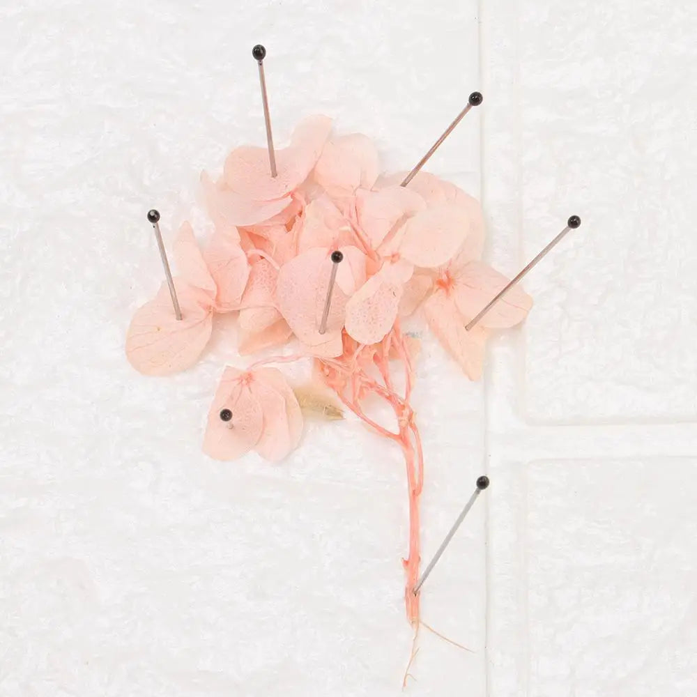 100Pcs Good Flexibility Lab Accessories Education Insect Dissections Supplies Pin Needle Specimen Pins